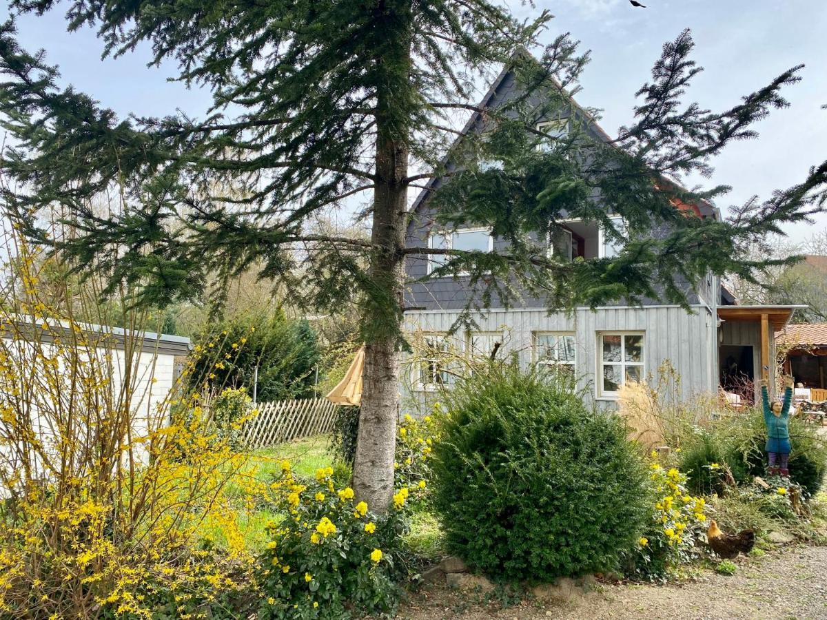 Gronocottage Bad Harzburg Exteriör bild